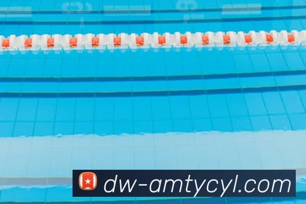 太阳城娱乐平台生态图